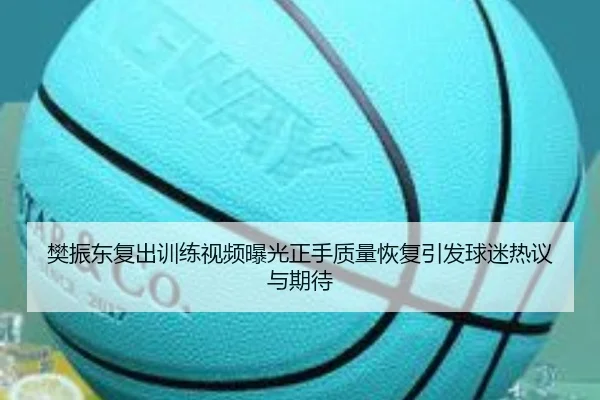 樊振东复出训练视频曝光正手质量恢复引发球迷热议与期待