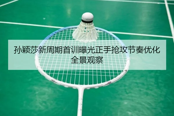 孙颖莎新周期首训曝光正手抢攻节奏优化全景观察