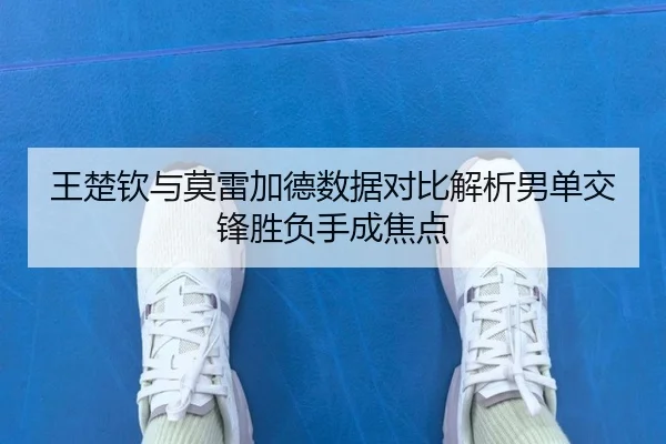 王楚钦与莫雷加德数据对比解析男单交锋胜负手成焦点