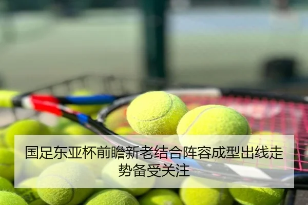 国足东亚杯前瞻新老结合阵容成型出线走势备受关注